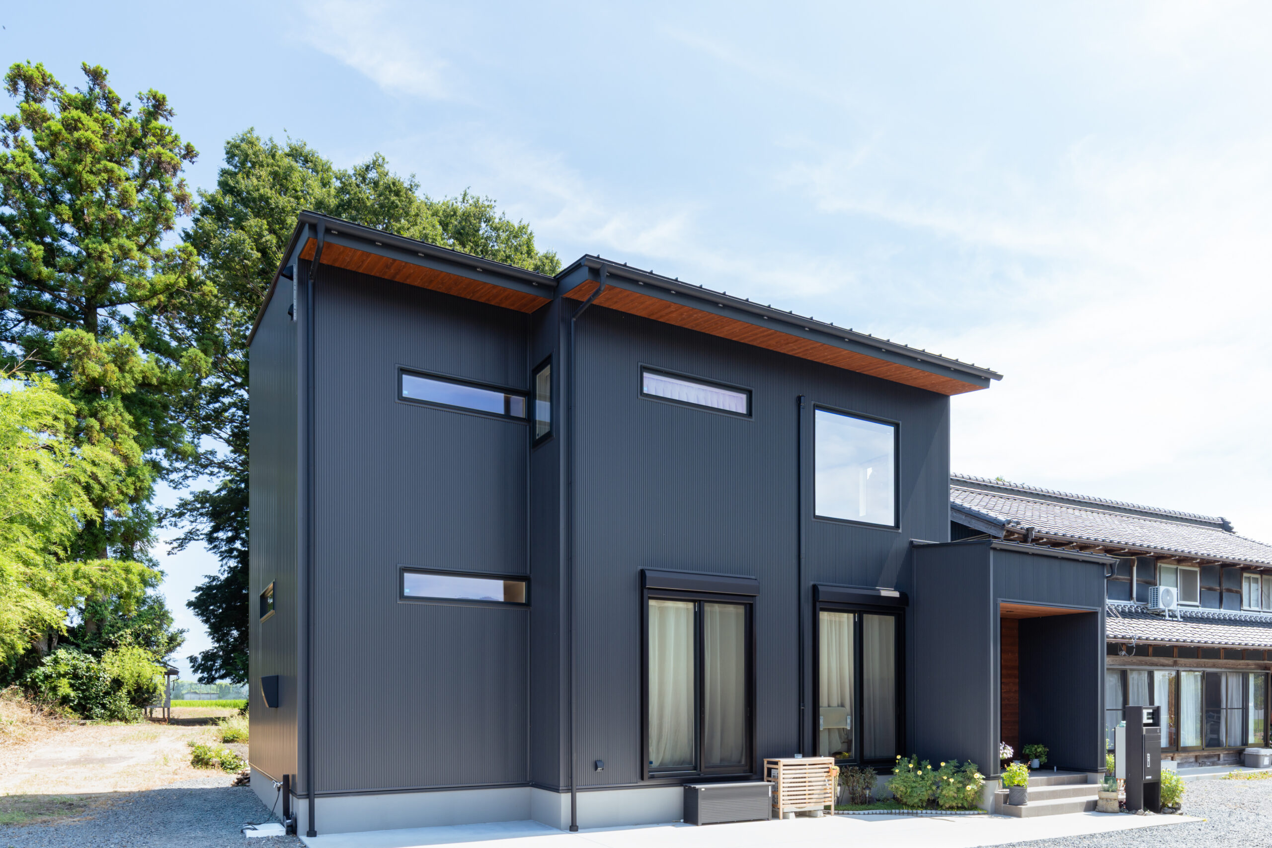 猫と暮らす2階建ての家