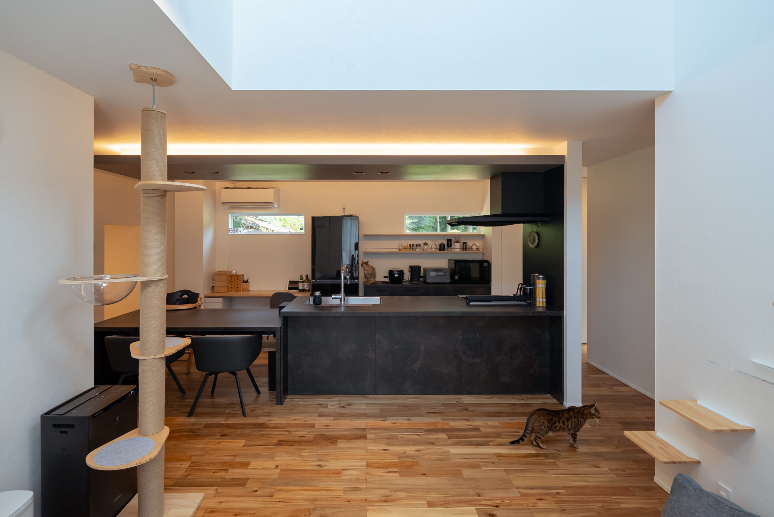 関節照明が映える黒基調のダイニング・キッチン