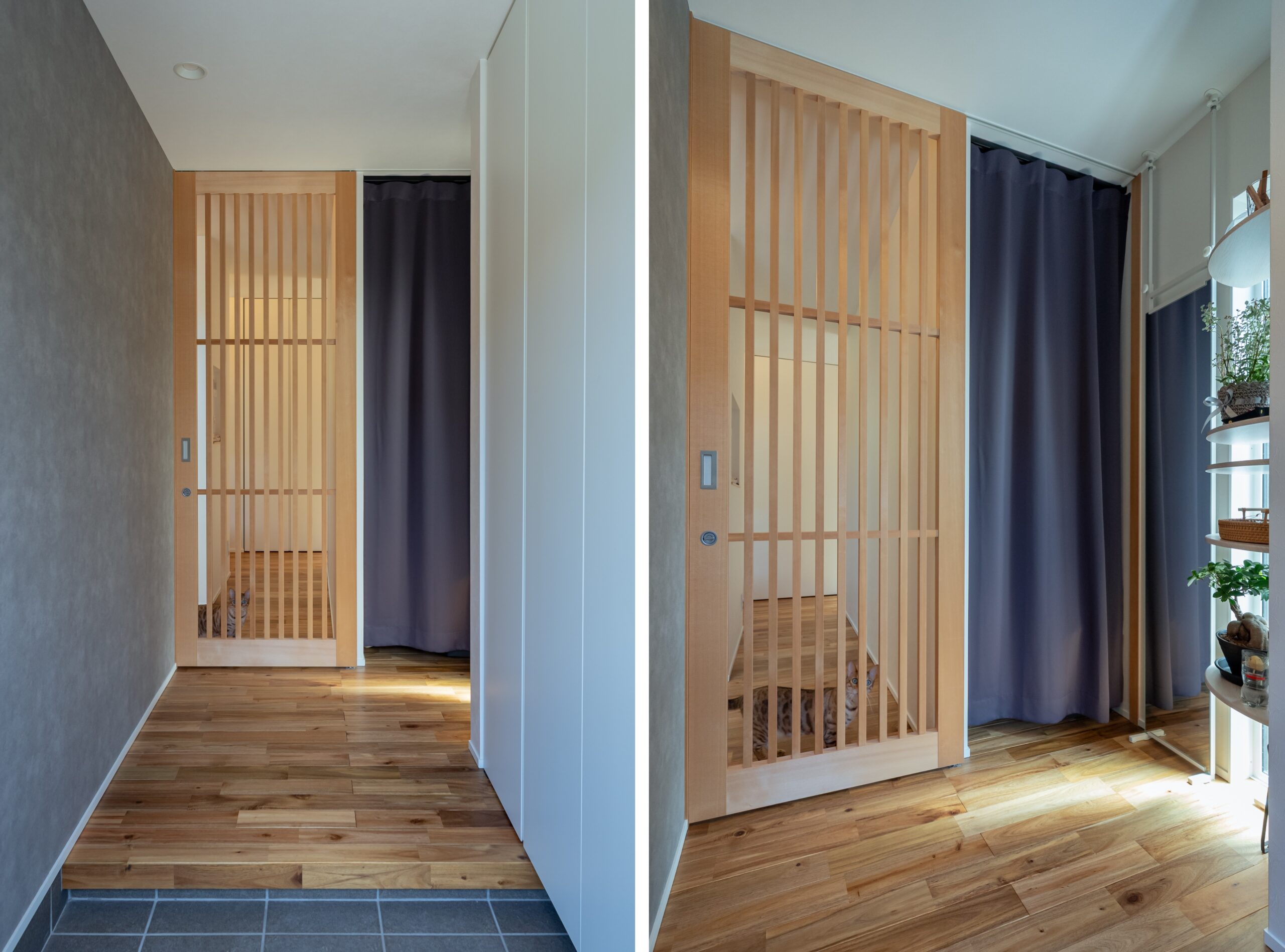 猫の脱走を防ぐ玄関の建具