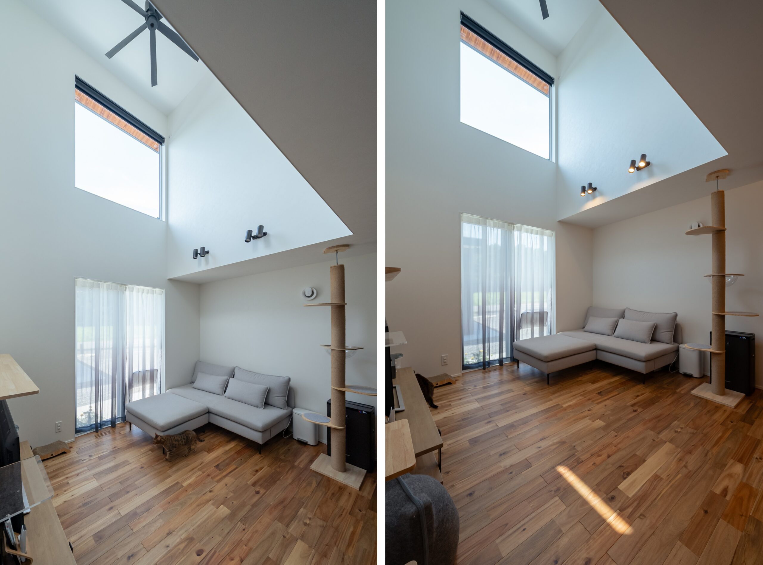 大開口から光が差し込む吹抜けリビング