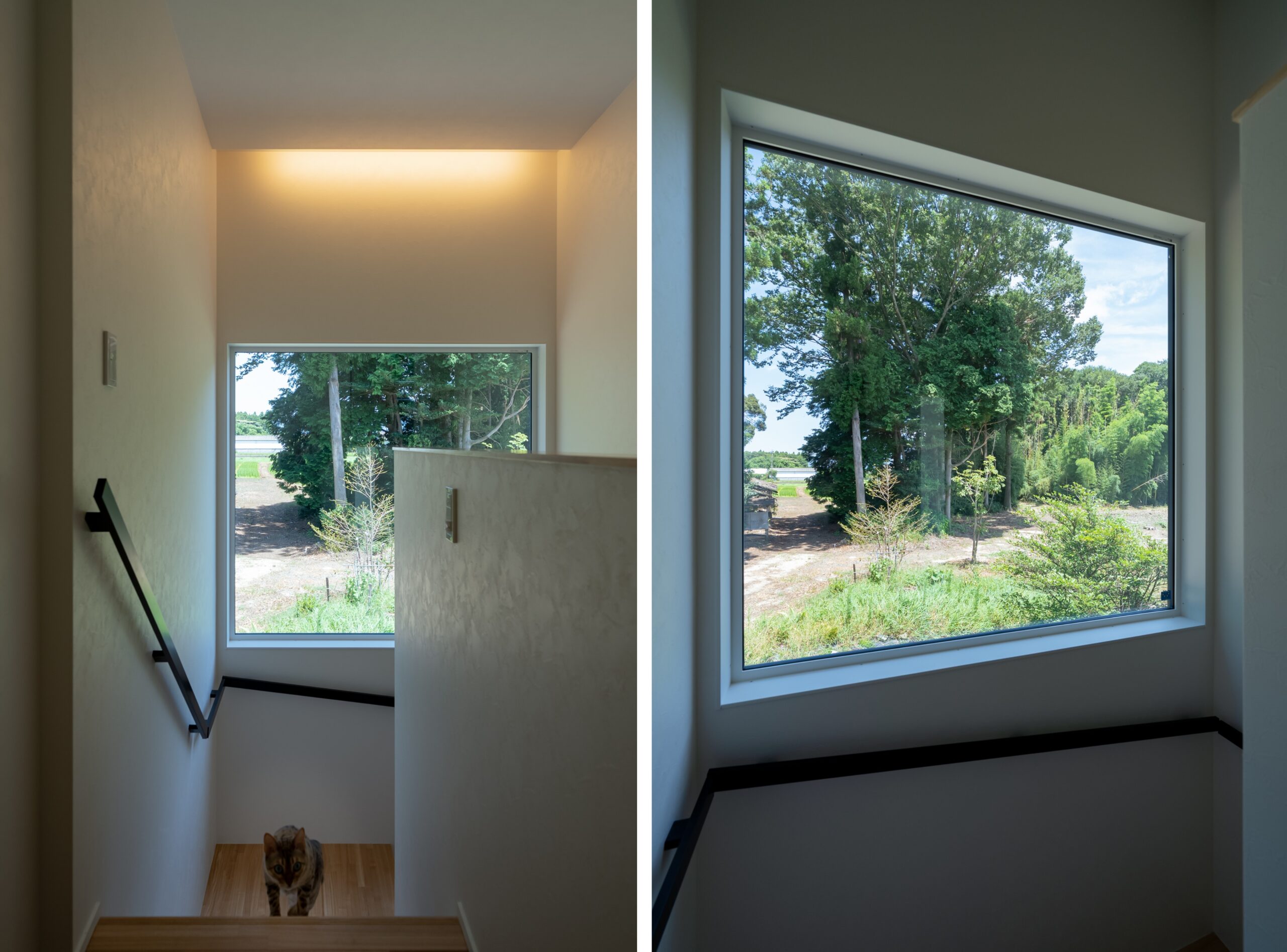 階段中腹に配置した大開口と間接照明