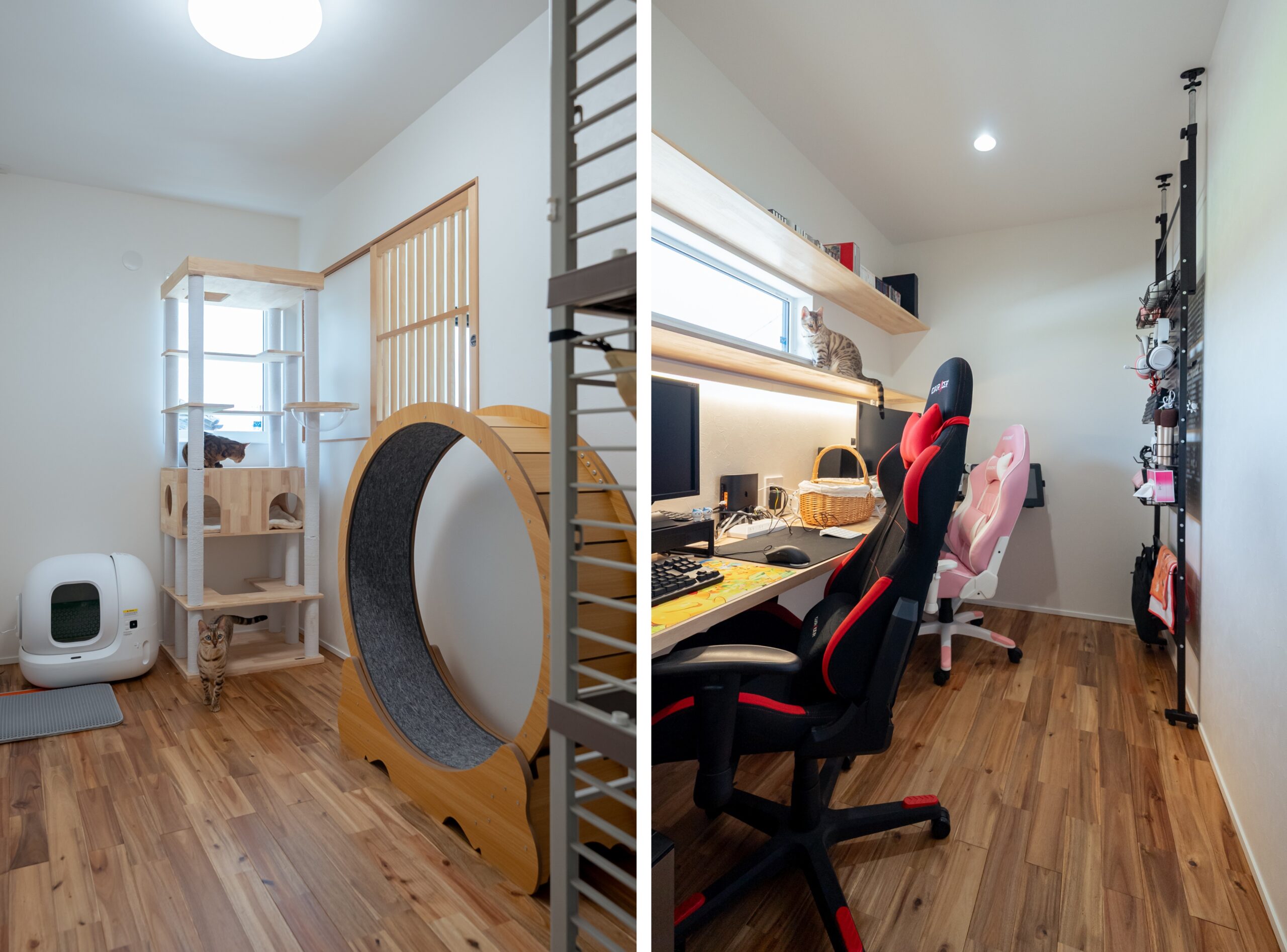 猫の遊び部屋と造作カウンターのあるワークスペース