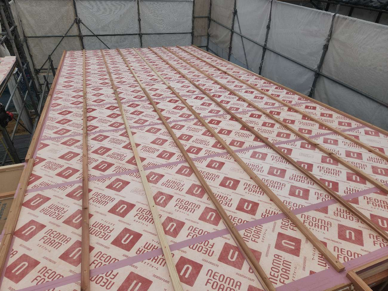 1000010862 1000010862