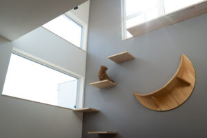 猫と暮らす家｜平屋を選ぶメリットとは？設計術、素材選びのポイントを解説　